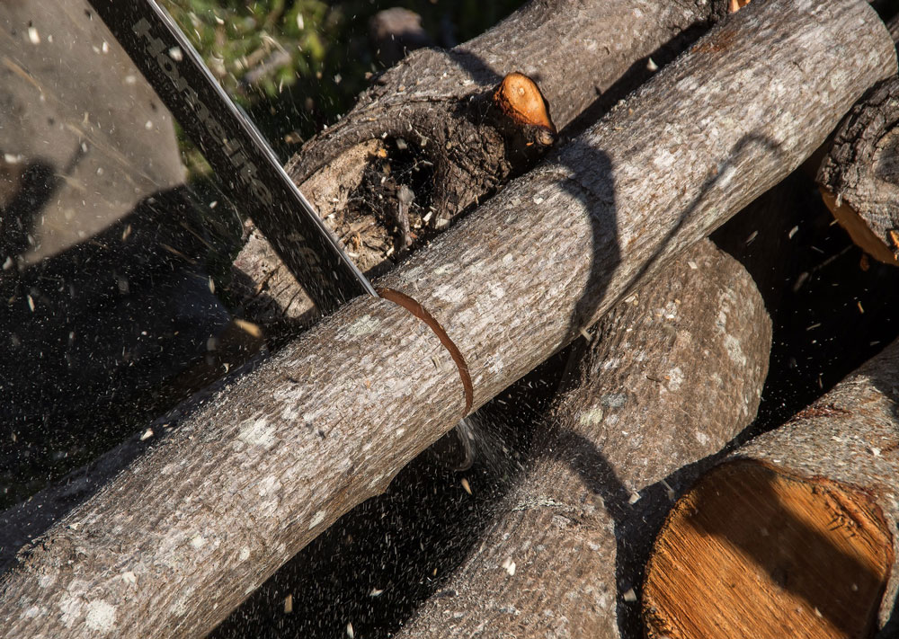 abattage d arbres dangereux